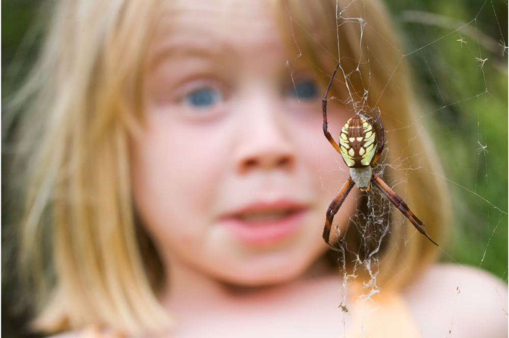 Missoula Butterfly House & Insectarium – Exploring the little things ...