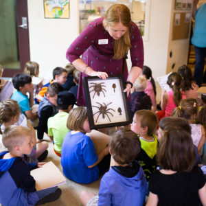 About Us – Missoula Butterfly House & Insectarium